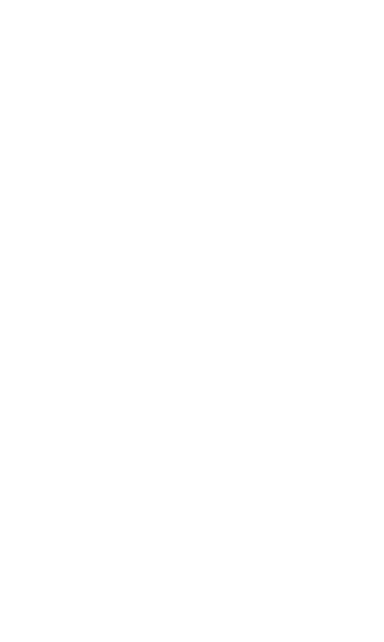 RapiDito